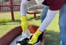 Alerta Salud Sonora sobre riesgo de garrapatas en dormitorios Alerta Salud Sonora sobre riesgo de garrapatas en dormitorios