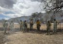 Gobierno de Sonora coordina esfuerzos binacionales para combatir incendio forestal Benton en la frontera Sonora-Arizona Gobierno de Sonora coordina esfuerzos binacionales para combatir incendio forestal Benton en la frontera Sonora-Arizona