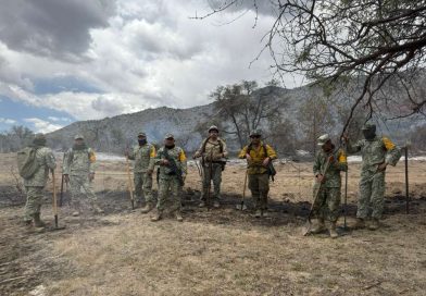 Gobierno de Sonora coordina esfuerzos binacionales para combatir incendio forestal Benton en la frontera Sonora-Arizona Gobierno de Sonora coordina esfuerzos binacionales para combatir incendio forestal Benton en la frontera Sonora-Arizona