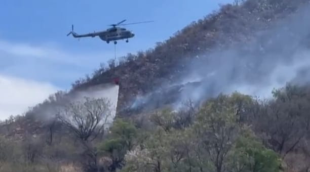 Alcanza CEPC 70 por ciento de control en incendio forestal de Arivechi Alcanza CEPC 70 por ciento de control en incendio forestal de Arivechi